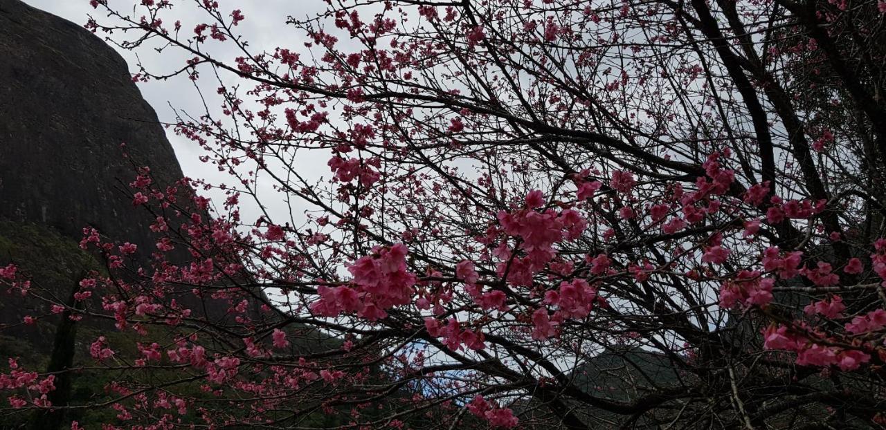 Chale Rosa Do Vale Villa เปโตรโปลิส ภายนอก รูปภาพ