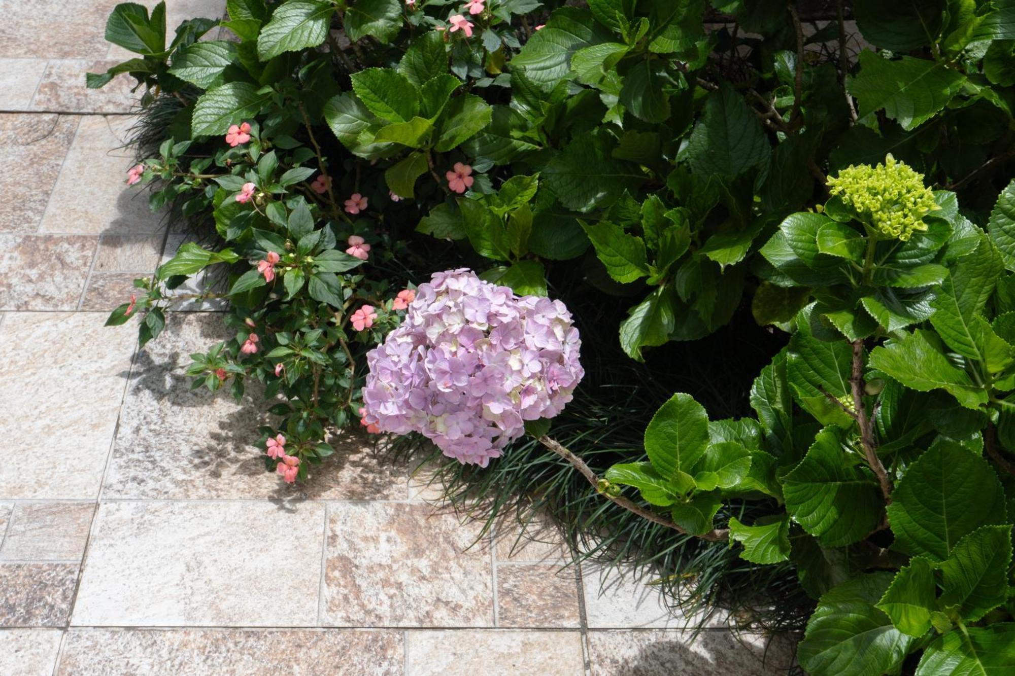 Chale Rosa Do Vale Villa เปโตรโปลิส ภายนอก รูปภาพ
