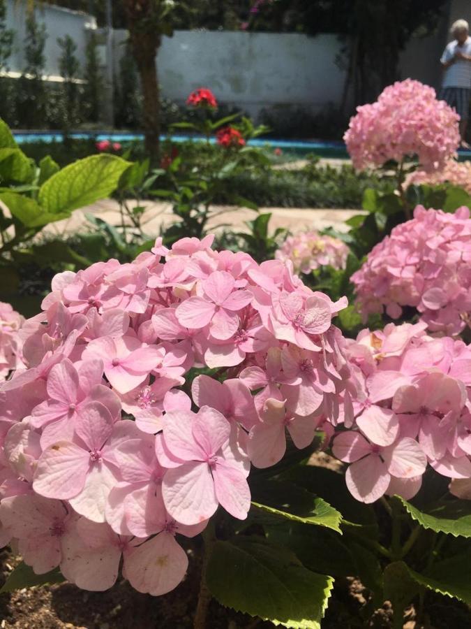 Chale Rosa Do Vale Villa เปโตรโปลิส ภายนอก รูปภาพ